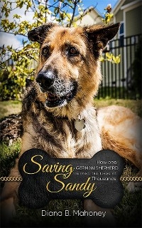 Saving Sandy - Diana B. Mahoney