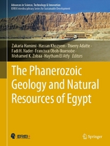 The Phanerozoic Geology and Natural Resources of Egypt - 