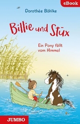 Billie und Stüx. Ein Pony fällt vom Himmel - Dorothée Böhlke