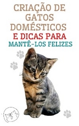 Criação de Gatos Domésticos e Dicas Para Mantê-los Felizes - Edwin Pinto