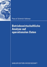 Betriebswirtschaftliche Analyse auf operationalen Daten - Pascal Schmidt-Volkmar