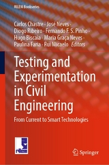 Testing and Experimentation in Civil Engineering - 