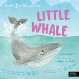 Little Whale -  ANNA BRETT