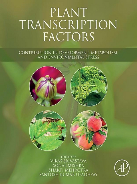 Plant Transcription Factors - 