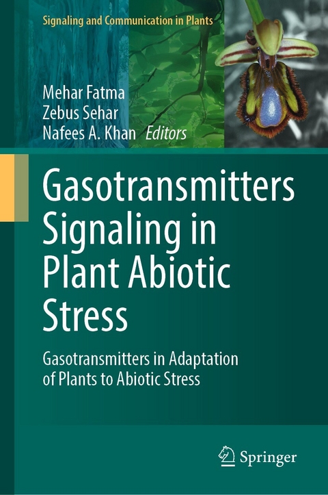 Gasotransmitters Signaling in Plant Abiotic Stress - 