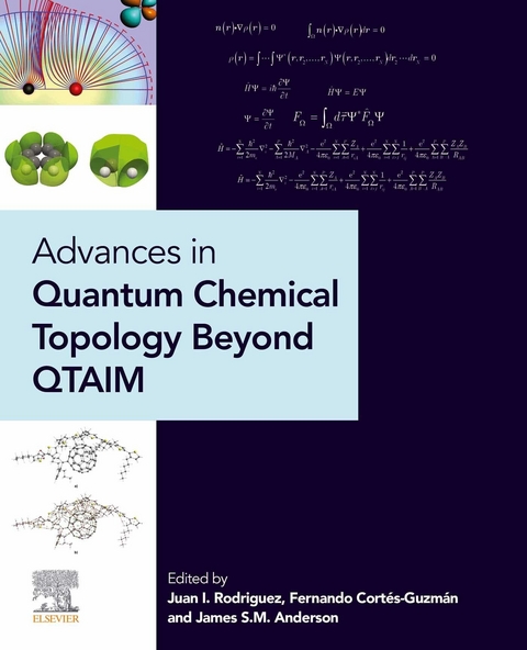 Advances in Quantum Chemical Topology Beyond QTAIM - 