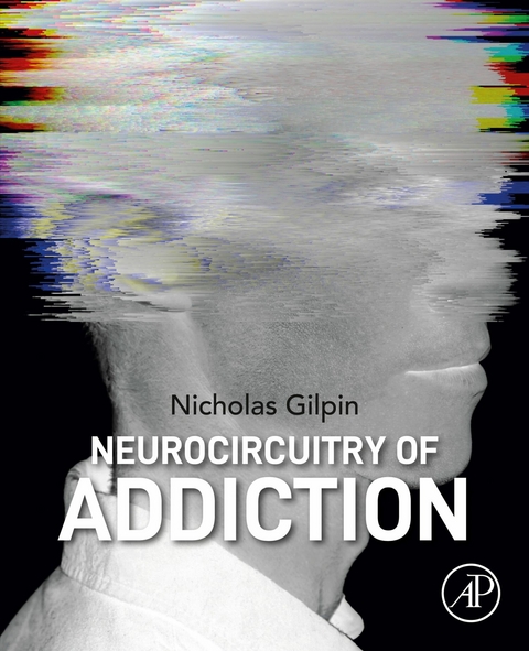 Neurocircuitry of Addiction - 