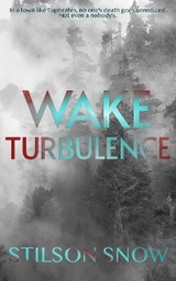 Wake Turbulence -  Stilson Snow