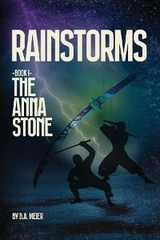 Rainstorms -  B.A. Meier