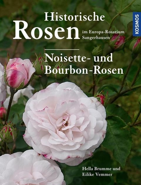 Historische Rosen im Europa Rosarium Sangerhausen: Noisette- und Bourbon-Rosen - Hella Brumme, Eilike Vemmer