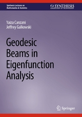 Geodesic Beams in Eigenfunction Analysis - Yaiza Canzani, Jeffrey Galkowski