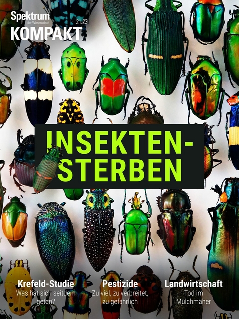 Spektrum Kompakt - Insektensterben -  Spektrum der Wissenschaft