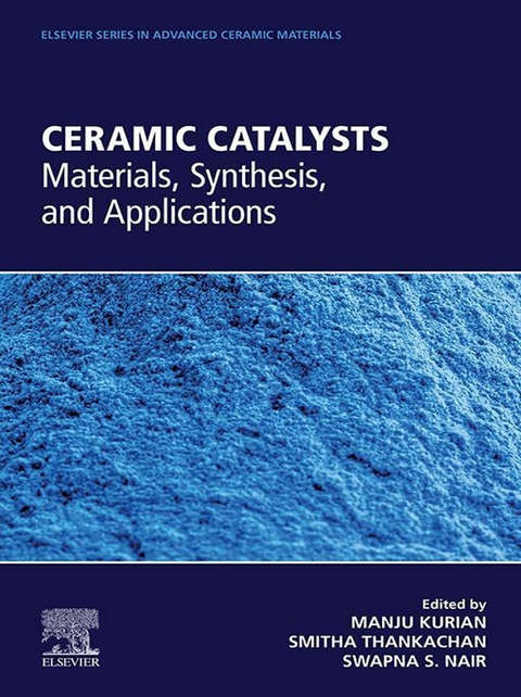 Ceramic Catalysts - 