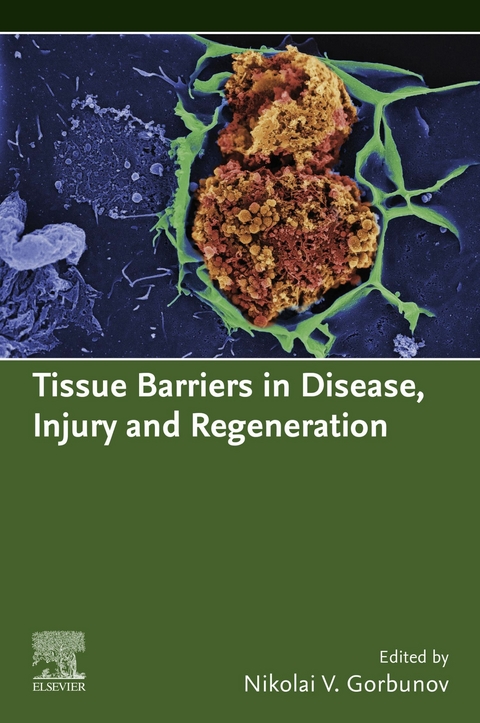 Tissue Barriers in Disease, Injury and Regeneration - 