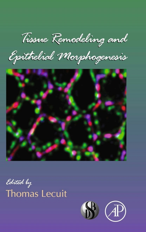 Tissue Remodeling and Epithelial Morphogenesis - 