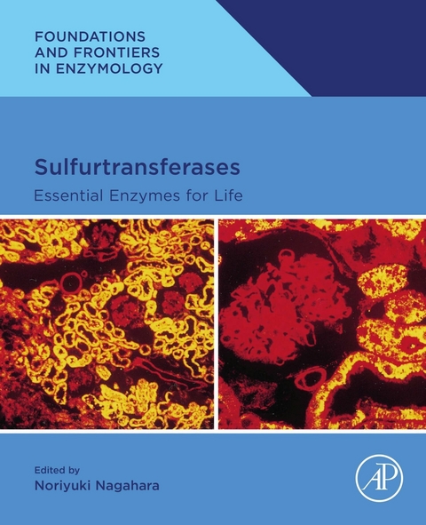 Sulfurtransferases - 