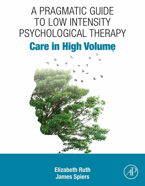 Pragmatic Guide to Low Intensity Psychological Therapy -  Elizabeth Ruth,  James Spiers