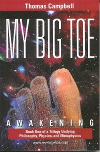 My Big TOE - Awakening H - Thomas Campbell