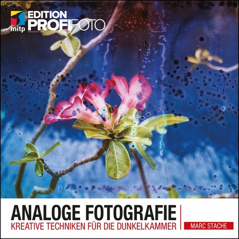 Analoge Fotografie -  Marc Stache