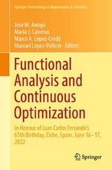 Functional Analysis and Continuous Optimization - 