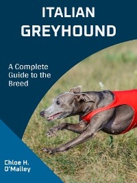 Italian Greyhound - Chloe H. O'Malley