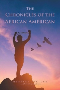 The Chronicles of the African American - Herbert Strider