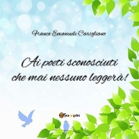 “Ai poeti sconosciuti che mai nessuno leggerà!” - Franco Emanuele Carigliano