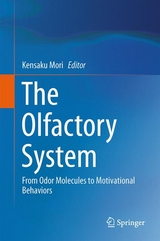 The Olfactory System - 