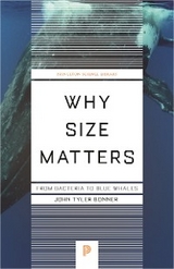 Why Size Matters -  John Tyler Bonner