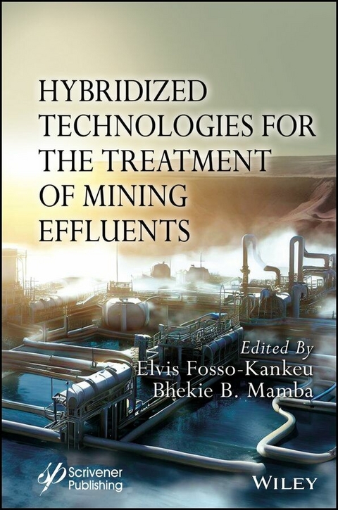 Hybridized Technologies for the Treatment of Mining Effluents - 