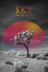 Under a Future Sky -  Brynn Saito