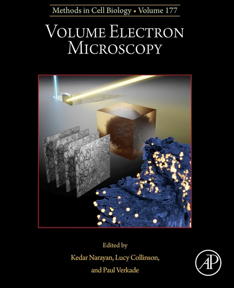 Volume Electron Microscopy - 