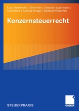 Konzernsteuerrecht - Klaus Herkenroth, Oliver Hein, Alexander Labermeier, Sven Pache, Andreas Striegel, Matthias Wiedenfels