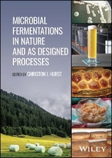 Microbial Fermentations in Nature and as Designed Processes - 