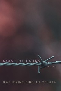 Point of Entry -  Katherine DiBella Seluja