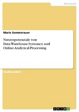 Nutzenpotenziale von Data-Warehouse-Systemen und Online-Analytical-Processing - Marie Sommerauer