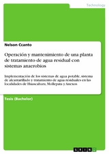 Operación y mantenimiento de una planta de tratamiento de agua residual con sistemas anaerobios - Nelson Ccanto