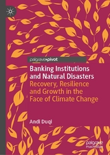 Banking Institutions and Natural Disasters - Andi Duqi