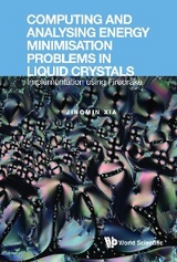 COMPUTING & ANALYSING ENERGY MINIMIS PROBLEMS LIQUID CRYSTAL - Jingmin Xia