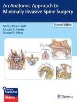 An Anatomic Approach to Minimally Invasive Spine Surgery - 