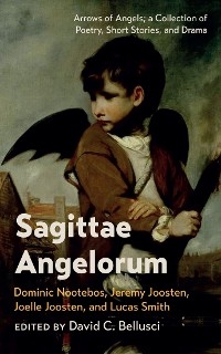 Sagittae Angelorum - 