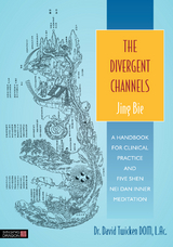 The Divergent Channels - Jing Bie - David Twicken