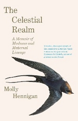 Celestial Realm: SHORTLISTED FOR THE SUNDAY INDEPENDENT NEWCOMER OF THE YEAR IRISH BOOK AWARDS -  Molly Hennigan