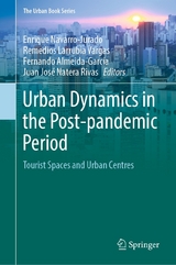 Urban Dynamics in the Post-pandemic Period - 