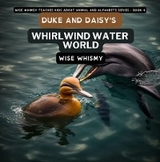 Duke and Daisy's Whirlwind Water World - Wise Whimsy