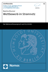 Wettbewerb im Stromnetz - Beatrice Brunner