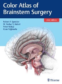 Color Atlas of Brainstem Surgery - 