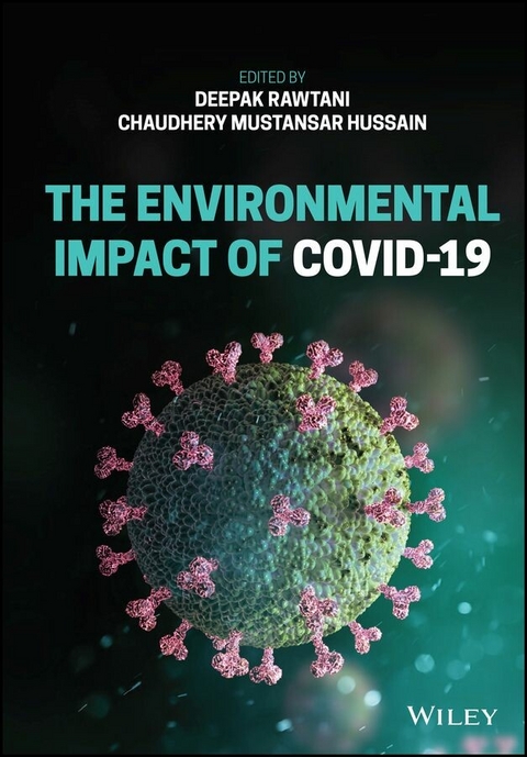 The Environmental Impact of COVID-19 - 