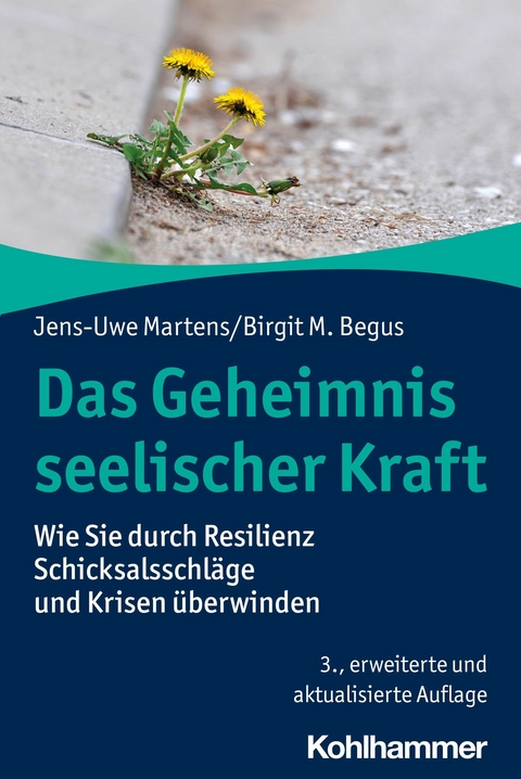 Das Geheimnis seelischer Kraft - Jens-Uwe Martens, Birgit M. Begus