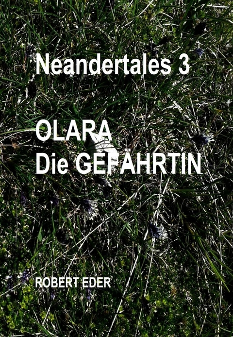 Neandertales 3 - Robert Eder